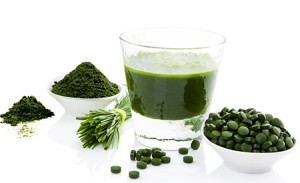 huong dan su dung tao spirulina