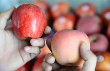 Cách sử dụng trái cây an toàn