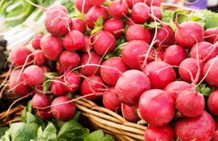 Công dụng chữa bệnh của củ cải