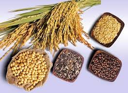 Thực phẩm giúp ngăn ngừa đột quỵ