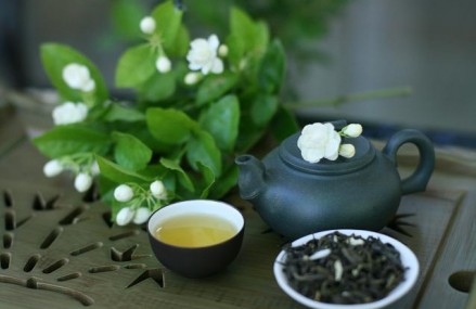 Trà hoa nhài và 8 lợi ích tuyệt vời