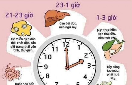 Mẹo ngủ 5 phút tương đương 6h