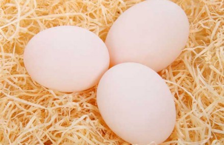 10 hiểu biết sai lầm về trứng gà