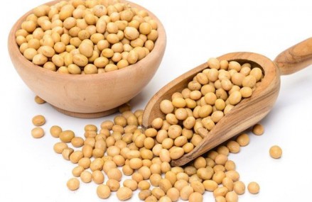 7 Thực phẩm chứa protein tuyệt vời